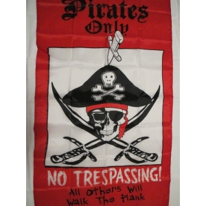 Large Red Pirate Flag